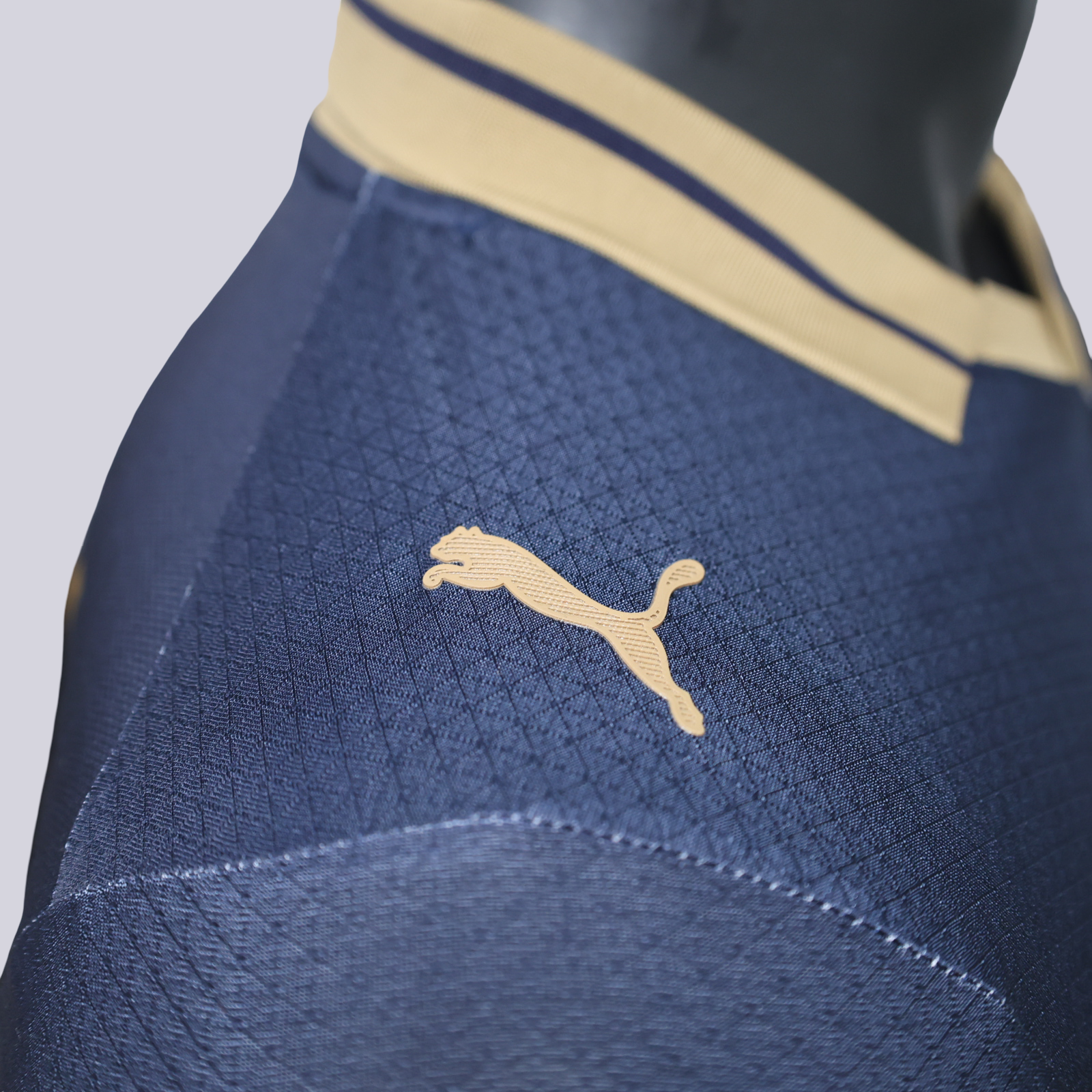 Pumas Visita 26/27 - Envío Express