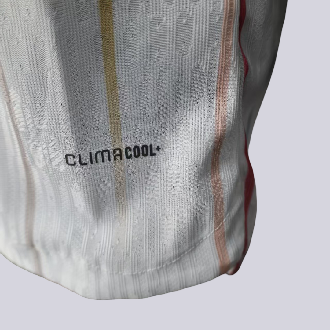 Japón Mundial Visita 2026