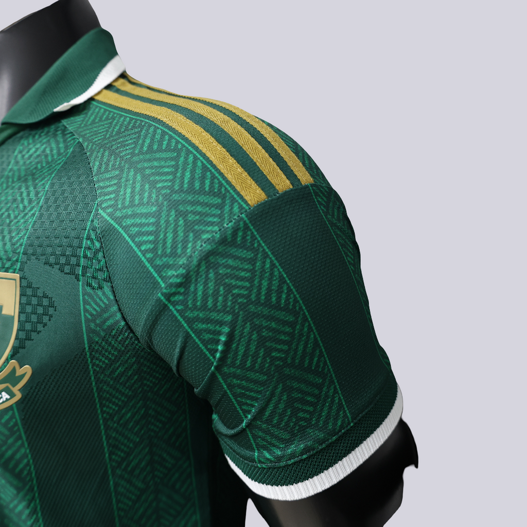Sudáfrica Mundial Visita 2026