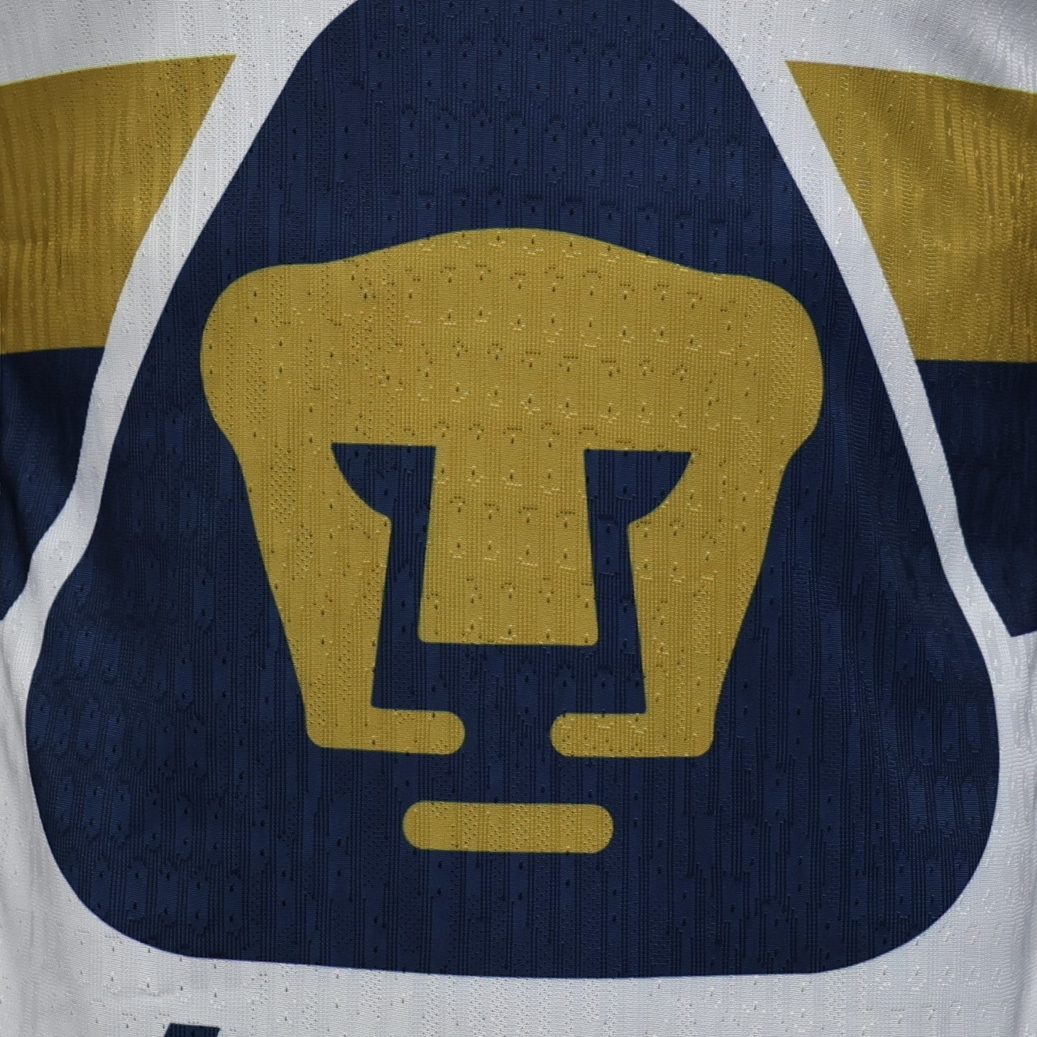 Pumas Local - 25/26