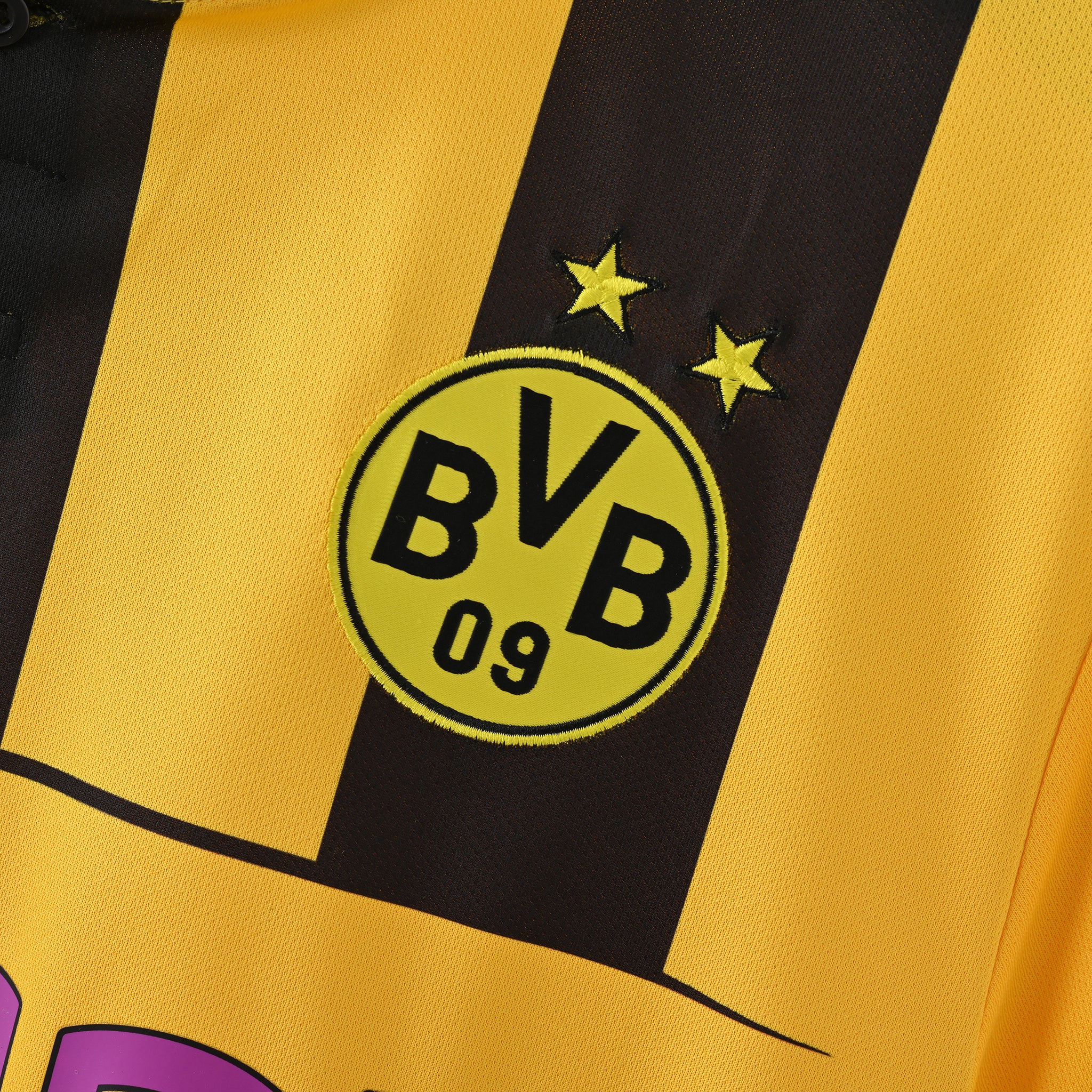 Borussia Dortmund - 12/13