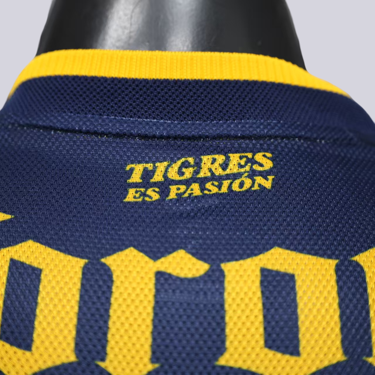 Tigres Visita 26/27 Express