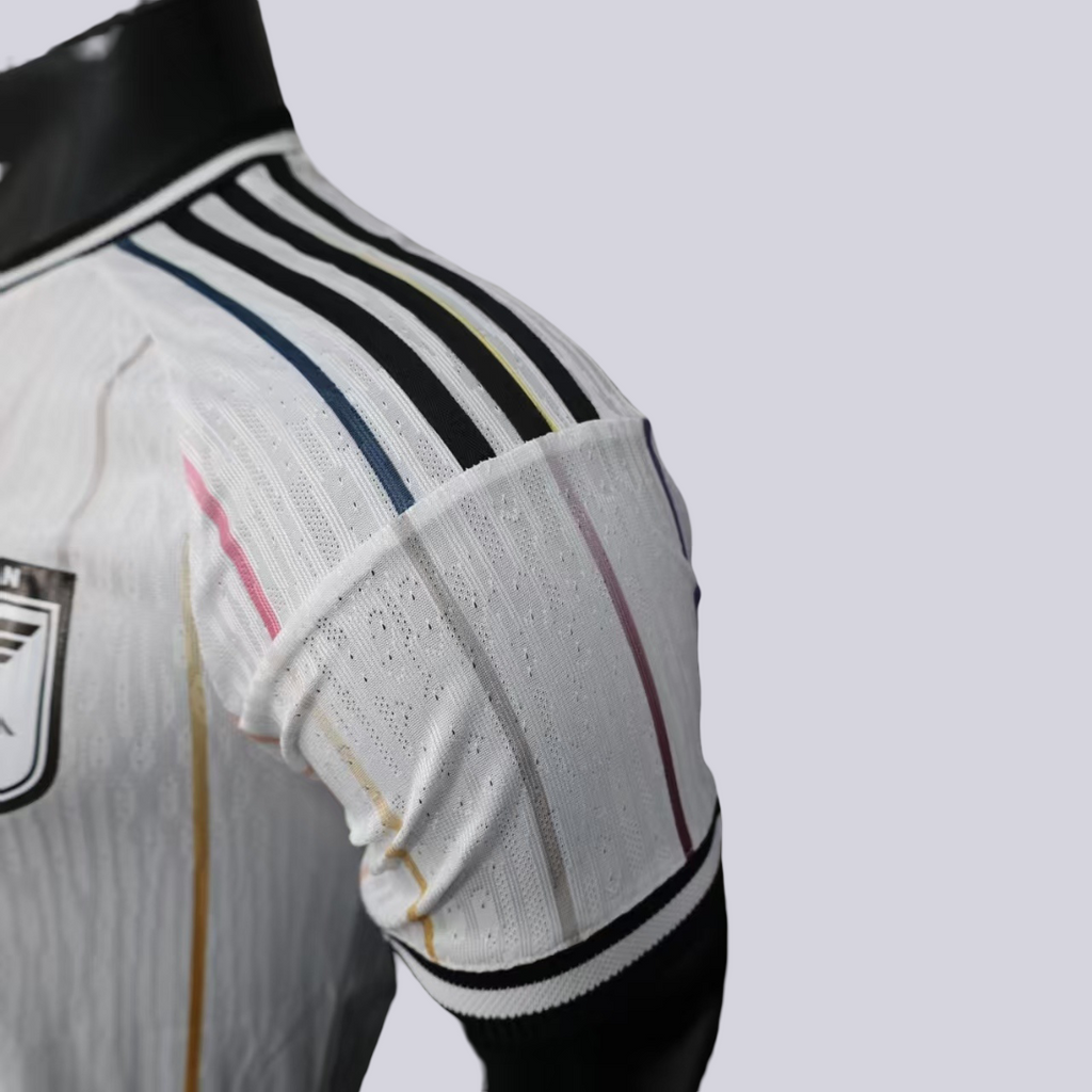 Japón Mundial Visita 2026