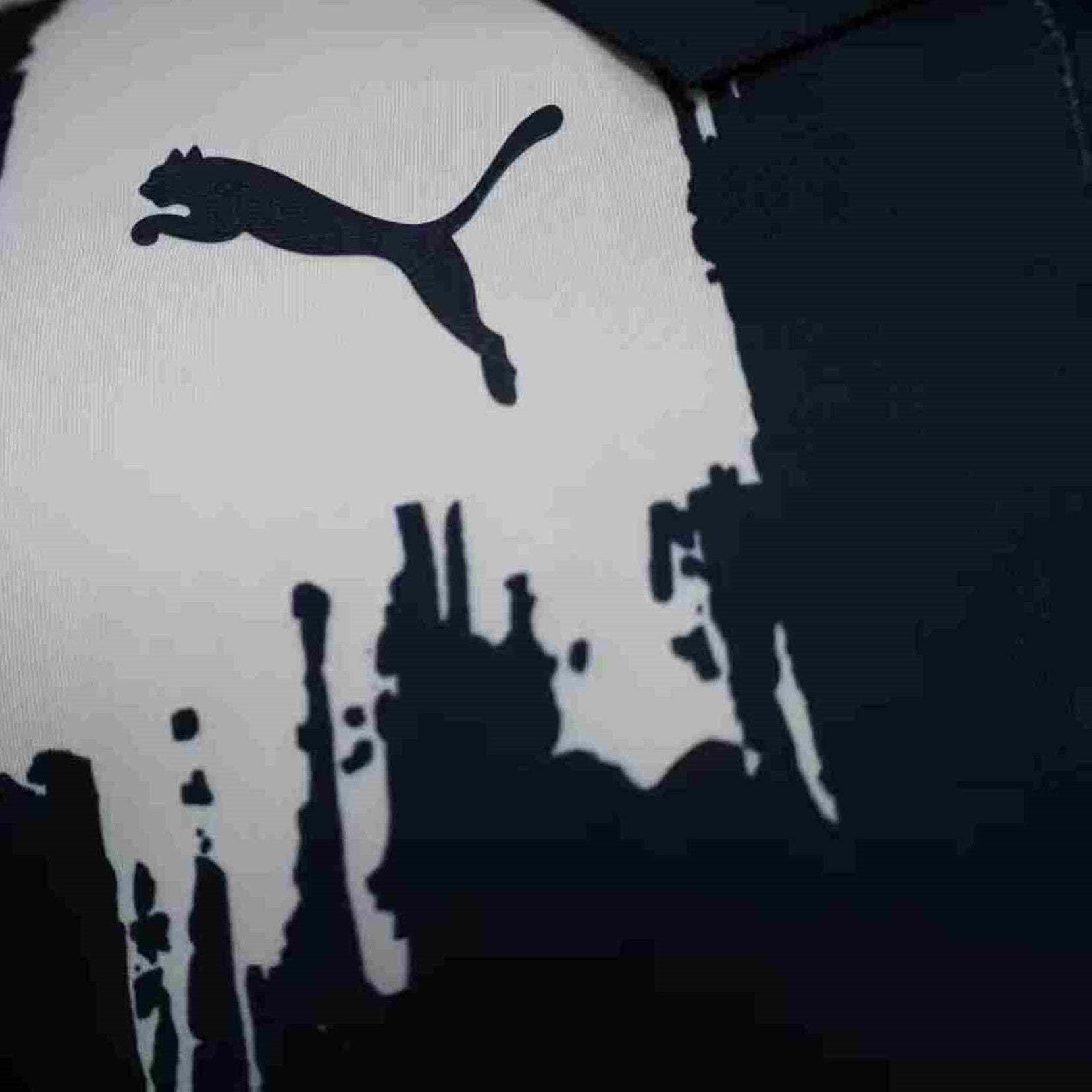 Monterrey 80 Aniversario