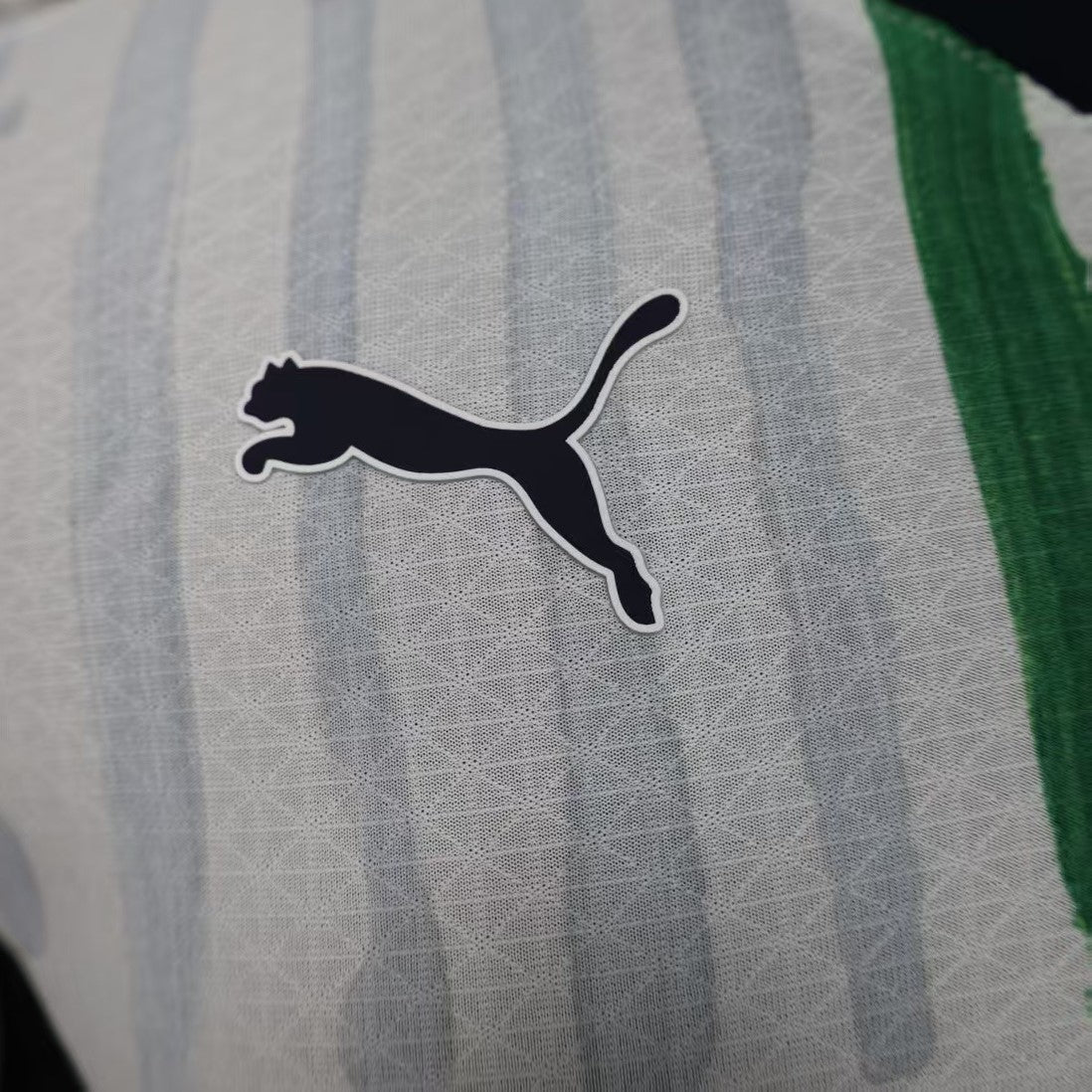 Monterrey Visita Mundial Clubes - 2025